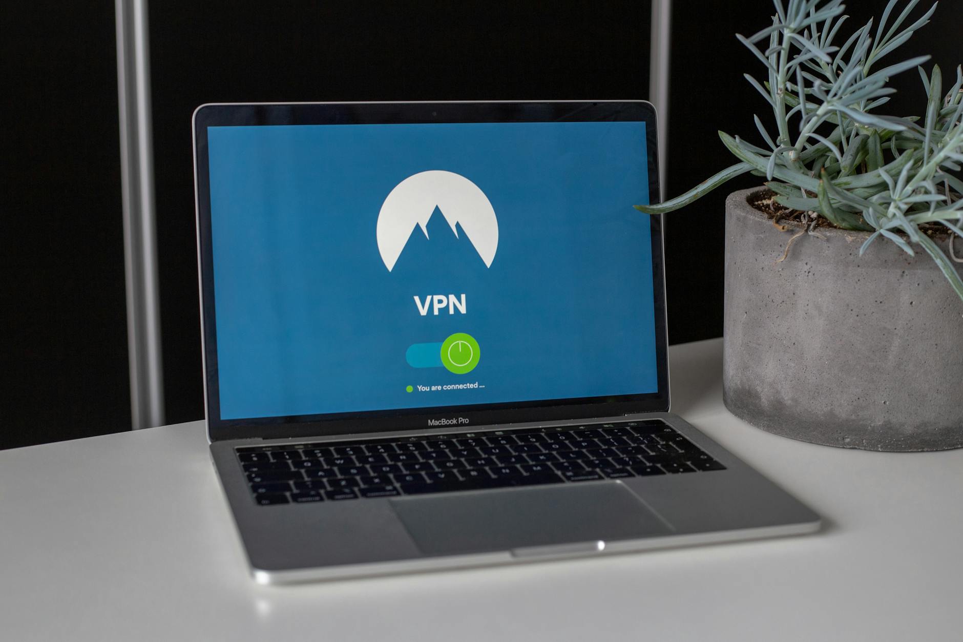 Laptop z włączonym VPN na biurku obok małej zielonej rośliny